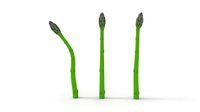 Asparagus with Shapes