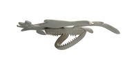 Hammerhead Shark Skull