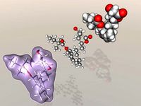 Simvastatin molecule