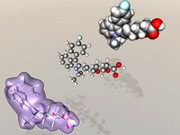 Fluvastatin molecule