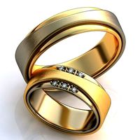 Gold Wedding Rings 335 | 3D