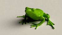 Frog basemesh 5k tris