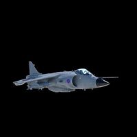 Sea Harrier FRS1
