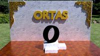 ORTAS TIRE NO 33 GAME READY