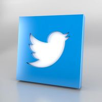 Twitter Icon Logo 3D Model