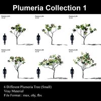 Plumeria Animated Collection 1