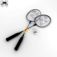 Badminton Racket and Shuttlecock