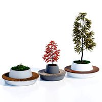 Green circular benches