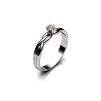 Ring BK 321 | 3D