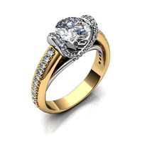 Ring 1201 | 3D