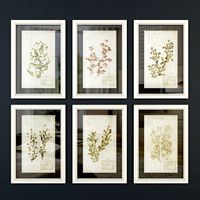 RH Pressed Botanical Art poster