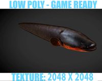 Electric Eel