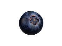 Photorealistic Blueberry 3D Scan 3