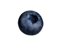 Photorealistic Blueberry 3D Scan 2