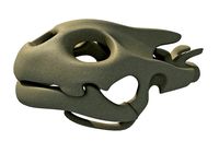 Tortoise  Skull Head