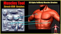 Muscles Tool For Zbrush VDM