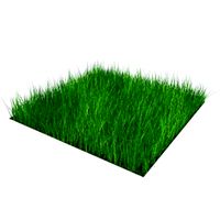 Grass Block High Density 05x05m 3D Model