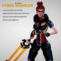 Cyber Warrior