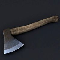 ordinary ax