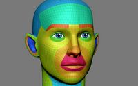 Animation Stylized Mesh