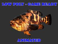 Low poly Goliath Grouper Fish Animated - Game Ready