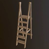 Wooden Ladder