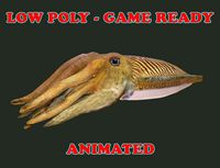 Low poly Cuttle Fish Animated - Game Ready