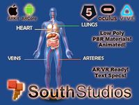Animated Human Circulatory System AR VR Unity 3dsmax