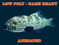 Low poly Coral Grouper Fish Animated - Game Ready