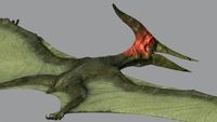 Pterodon 3D Model