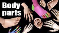 body parts