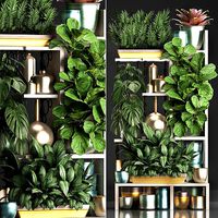 Collection Exotic plants 372