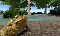 PBR Toad Animated