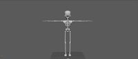 Skeleton