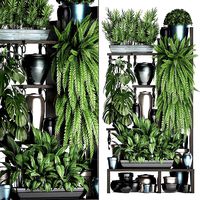 Collection Exotic plants 371