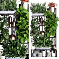 Collection Exotic plants 370