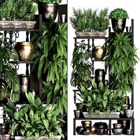 Collection Exotic plants 368