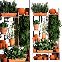 Plants collection Vertical gardening 27 2