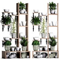 Plants collection Vertical gardening 28 3
