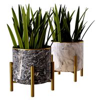 plant pot 01