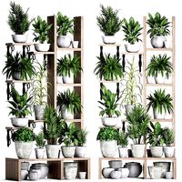 Plants collection Vertical gardening 28 2