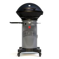 Gas grill  fuego professional f24c