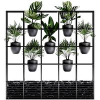 Collection Exotic plants 363