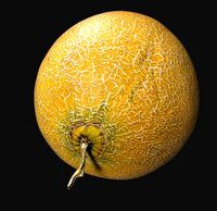 Sweet Melon