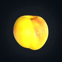 Nectarine E