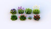 Flower Pack G02
