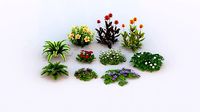 Flower Pack G01