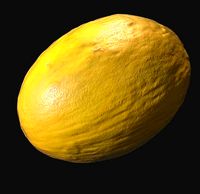 Melon