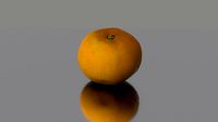 Mandarin fruit