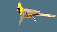 cardinal animated